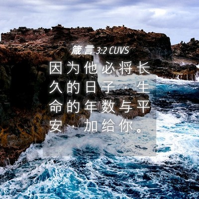 Picture 04 - 箴 言 3:2 CUVS - 因 为 他 必 将 长 久 的 日 子 ， 生 - Bible Verse Picture