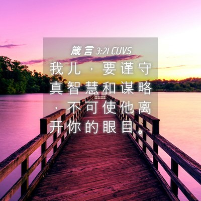 Picture 04 - 箴 言 3:21 CUVS - 我 儿 ， 要 谨 守 真 智 慧 和 谋 略 - Bible Verse Picture