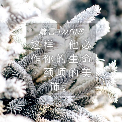Picture 04 - 箴 言 3:22 CUVS - 这 样 ， 他 必 作 你 的 生 命 ， 颈 - Bible Verse Picture