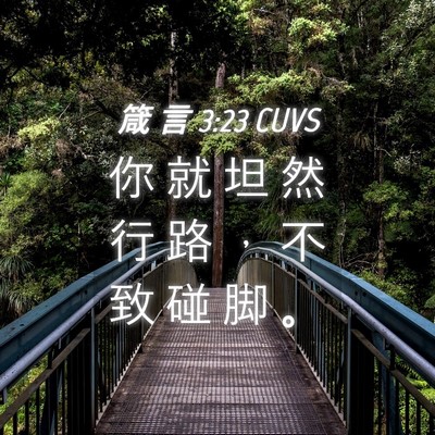 Picture 04 - 箴 言 3:23 CUVS - 你 就 坦 然 行 路 ， 不 致 碰 脚 - Bible Verse Picture