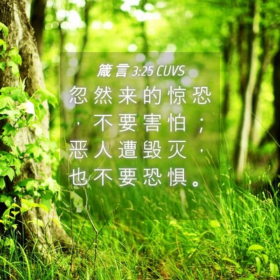 Picture 04 - 箴 言 3:25 CUVS - 忽 然 来 的 惊 恐 ， 不 要 害 怕 ； - Bible Verse Picture