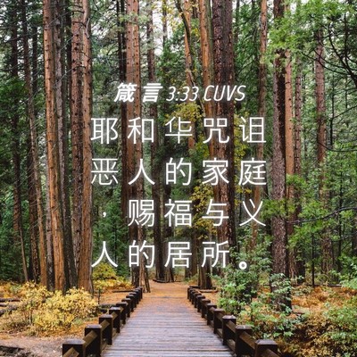 Picture 04 - 箴 言 3:33 CUVS - 耶 和 华 咒 诅 恶 人 的 家 庭 ， 赐 - Bible Verse Picture