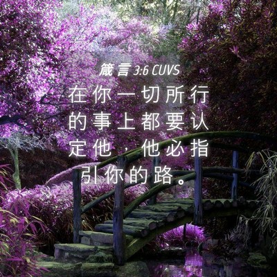 Picture 04 - 箴 言 3:6 CUVS - 在 你 一 切 所 行 的 事 上 都 要 认 - Bible Verse Picture