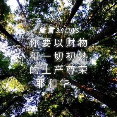Picture 04 - 箴 言 3:9 CUVS - 你 要 以 财 物 和 一 切 初 熟 的 土 - Bible Verse Picture