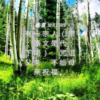 Picture 04 - 箴 言 30:11 CUVS - 有 一 宗 人 （ 宗 ： 原 文 是 代 ； - Bible Verse Picture
