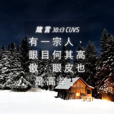 Picture 04 - 箴 言 30:13 CUVS - 有 一 宗 人 ， 眼 目 何 其 高 傲 ， - Bible Verse Picture