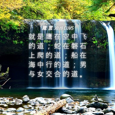 Picture 04 - 箴 言 30:19 CUVS - 就 是 鹰 在 空 中 飞 的 道 ； 蛇 在 - Bible Verse Picture