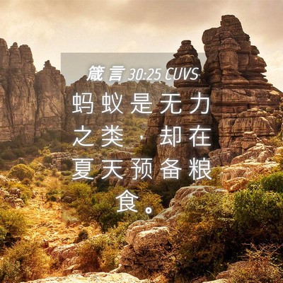 Picture 04 - 箴 言 30:25 CUVS - 蚂 蚁 是 无 力 之 类 ， 却 在 夏 天 - Bible Verse Picture