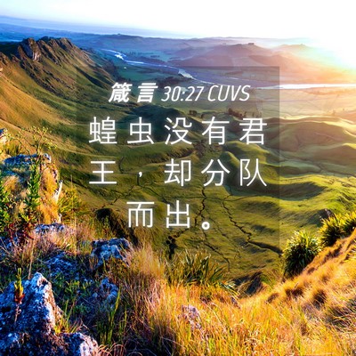 Picture 04 - 箴 言 30:27 CUVS - 蝗 虫 没 有 君 王 ， 却 分 队 而 出 - Bible Verse Picture