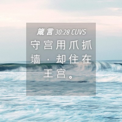 Picture 04 - 箴 言 30:28 CUVS - 守 宫 用 爪 抓 墙 ， 却 住 在 王 宫 - Bible Verse Picture