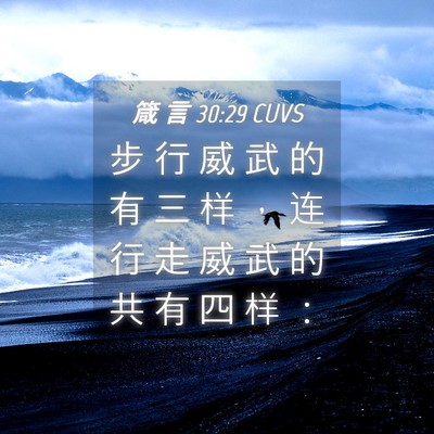 Picture 04 - 箴 言 30:29 CUVS - 步 行 威 武 的 有 三 样 ， 连 行 走 - Bible Verse Picture