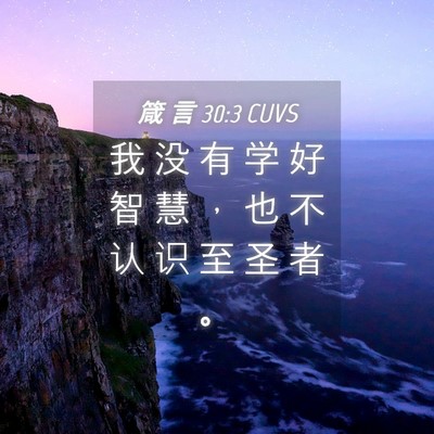 Picture 04 - 箴 言 30:3 CUVS - 我 没 有 学 好 智 慧 ， 也 不 认 识 - Bible Verse Picture