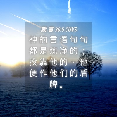 Picture 04 - 箴 言 30:5 CUVS - 神 的 言 语 句 句 都 是 炼 净 的 ； - Bible Verse Picture
