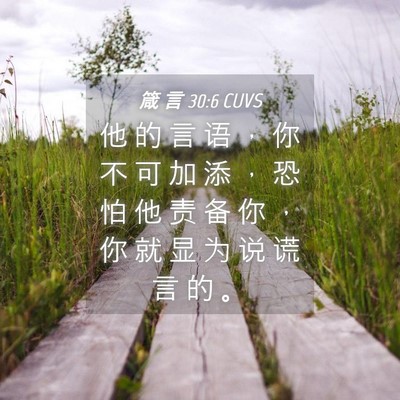 Picture 04 - 箴 言 30:6 CUVS - 他 的 言 语 ， 你 不 可 加 添 ， 恐 - Bible Verse Picture