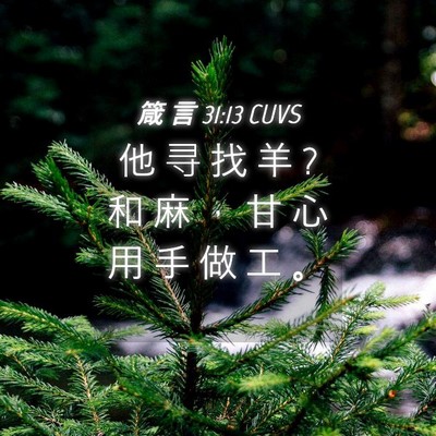 Picture 04 - 箴 言 31:13 CUVS - 他 寻 找 羊 ? 和 麻 ， 甘 心 用 手 做 - Bible Verse Picture