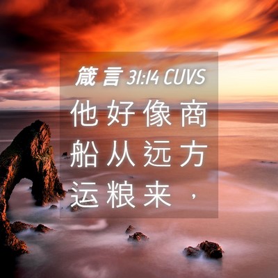 Picture 04 - 箴 言 31:14 CUVS - 他 好 像 商 船 从 远 方 运 粮 来 - Bible Verse Picture