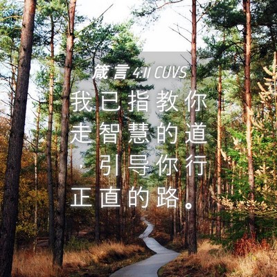 Picture 04 - 箴 言 4:11 CUVS - 我 已 指 教 你 走 智 慧 的 道 ， 引 - Bible Verse Picture
