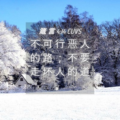 Picture 04 - 箴 言 4:14 CUVS - 不 可 行 恶 人 的 路 ； 不 要 走 坏 - Bible Verse Picture