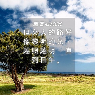 Picture 04 - 箴 言 4:18 CUVS - 但 义 人 的 路 好 像 黎 明 的 光 ， - Bible Verse Picture