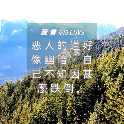 Picture 04 - 箴 言 4:19 CUVS - 恶 人 的 道 好 像 幽 暗 ， 自 己 不 - Bible Verse Picture