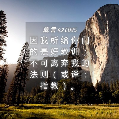 Picture 04 - 箴 言 4:2 CUVS - 因 我 所 给 你 们 的 是 好 教 训 ； - Bible Verse Picture
