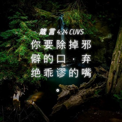 Picture 04 - 箴 言 4:24 CUVS - 你 要 除 掉 邪 僻 的 口 ， 弃 绝 乖 - Bible Verse Picture