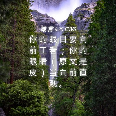 Picture 04 - 箴 言 4:25 CUVS - 你 的 眼 目 要 向 前 正 看 ； 你 的 - Bible Verse Picture