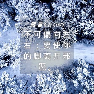 Picture 04 - 箴 言 4:27 CUVS - 不 可 偏 向 左 右 ； 要 使 你 的 脚 - Bible Verse Picture