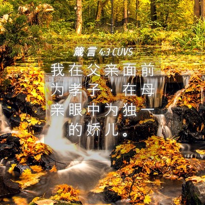 Picture 04 - 箴 言 4:3 CUVS - 我 在 父 亲 面 前 为 孝 子 ， 在 母 - Bible Verse Picture