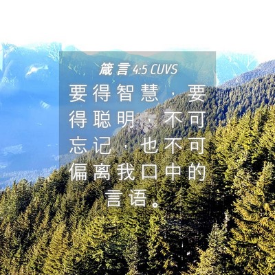 Picture 04 - 箴 言 4:5 CUVS - 要 得 智 慧 ， 要 得 聪 明 ， 不 可 - Bible Verse Picture