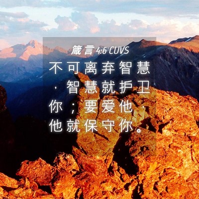 Picture 04 - 箴 言 4:6 CUVS - 不 可 离 弃 智 慧 ， 智 慧 就 护 卫 - Bible Verse Picture