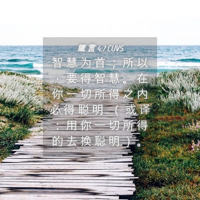 Picture 04 - 箴 言 4:7 CUVS - 智 慧 为 首 ； 所 以 ， 要 得 智 慧 - Bible Verse Picture