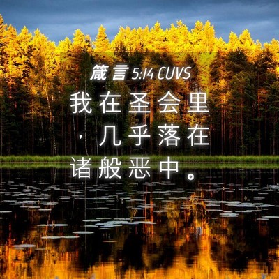 Picture 04 - 箴 言 5:14 CUVS - 我 在 圣 会 里 ， 几 乎 落 在 诸 般 - Bible Verse Picture