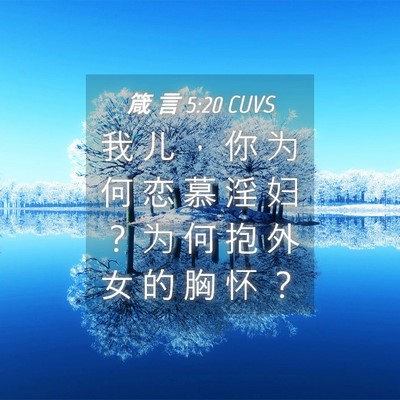 Picture 04 - 箴 言 5:20 CUVS - 我 儿 ， 你 为 何 恋 慕 淫 妇 ？ 为 - Bible Verse Picture