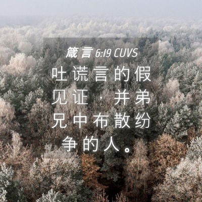 Picture 04 - 箴 言 6:19 CUVS - 吐 谎 言 的 假 见 证 ， 并 弟 兄 中 - Bible Verse Picture