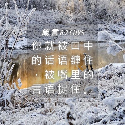 Picture 04 - 箴 言 6:2 CUVS - 你 就 被 口 中 的 话 语 缠 住 ， 被 - Bible Verse Picture