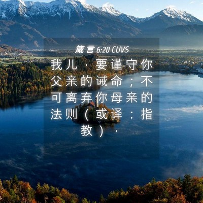 Picture 04 - 箴 言 6:20 CUVS - 我 儿 ， 要 谨 守 你 父 亲 的 诫 命 - Bible Verse Picture