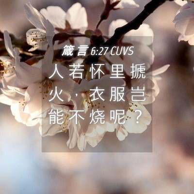 Picture 04 - 箴 言 6:27 CUVS - 人 若 怀 里 搋 火 ， 衣 服 岂 能 不 - Bible Verse Picture
