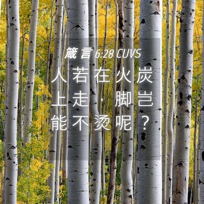 Picture 04 - 箴 言 6:28 CUVS - 人 若 在 火 炭 上 走 ， 脚 岂 能 不 - Bible Verse Picture