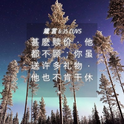 Picture 04 - 箴 言 6:35 CUVS - 甚 麽 赎 价 ， 他 都 不 顾 ； 你 虽 - Bible Verse Picture