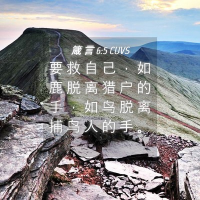 Picture 04 - 箴 言 6:5 CUVS - 要 救 自 己 ， 如 鹿 脱 离 猎 户 的 - Bible Verse Picture