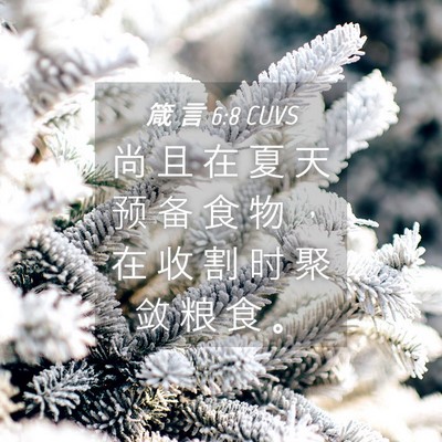 Picture 04 - 箴 言 6:8 CUVS - 尚 且 在 夏 天 预 备 食 物 ， 在 收 - Bible Verse Picture