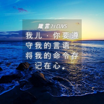 Picture 04 - 箴 言 7:1 CUVS - 我 儿 ， 你 要 遵 守 我 的 言 语 ， - Bible Verse Picture