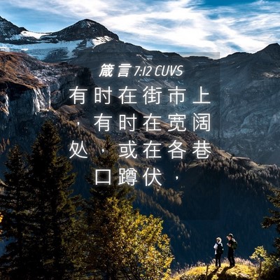 Picture 04 - 箴 言 7:12 CUVS - 有 时 在 街 市 上 ， 有 时 在 宽 阔 - Bible Verse Picture