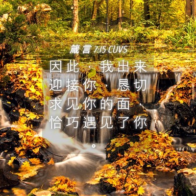 Picture 04 - 箴 言 7:15 CUVS - 因 此 ， 我 出 来 迎 接 你 ， 恳 切 - Bible Verse Picture