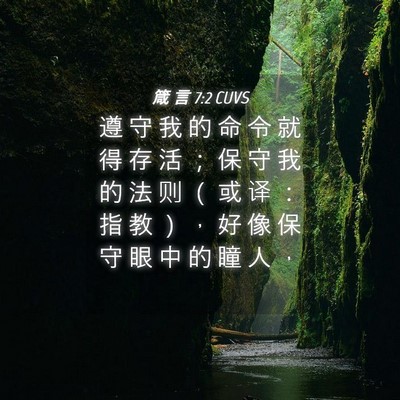 Picture 04 - 箴 言 7:2 CUVS - 遵 守 我 的 命 令 就 得 存 活 ； 保 - Bible Verse Picture
