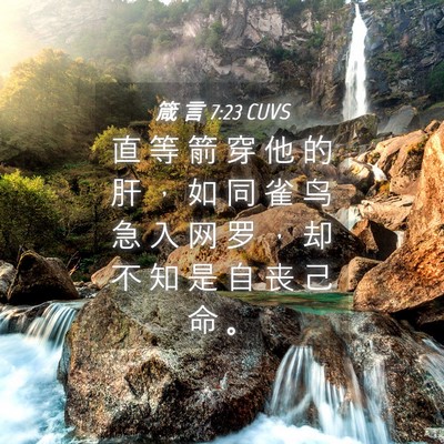 Picture 04 - 箴 言 7:23 CUVS - 直 等 箭 穿 他 的 肝 ， 如 同 雀 鸟 - Bible Verse Picture