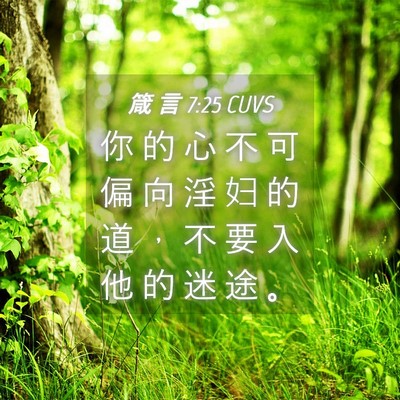 Picture 04 - 箴 言 7:25 CUVS - 你 的 心 不 可 偏 向 淫 妇 的 道 ， - Bible Verse Picture