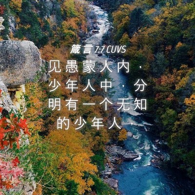 Picture 04 - 箴 言 7:7 CUVS - 见 愚 蒙 人 内 ， 少 年 人 中 ， 分 - Bible Verse Picture