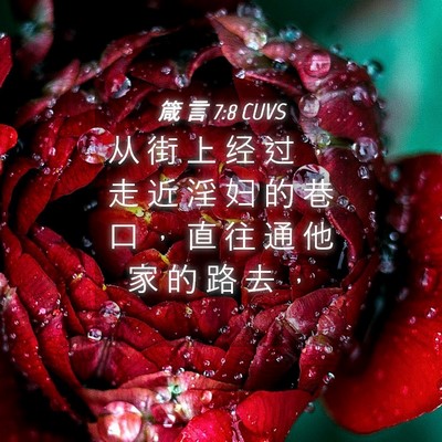 Picture 04 - 箴 言 7:8 CUVS - 从 街 上 经 过 ， 走 近 淫 妇 的 巷 - Bible Verse Picture